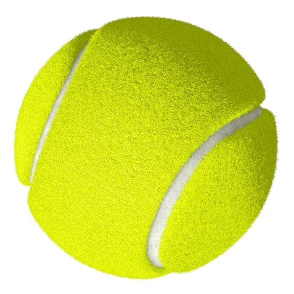 Sports Camel Ball