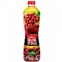 Nestle Fruits Vitals Red Grapes 1L