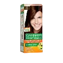 Garnier Natural Golden Brown 4.3