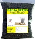 Abbasi Basil Seeds 100G